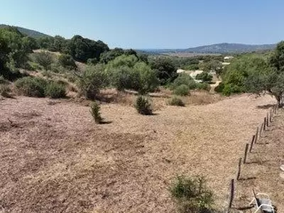 Terrain, 2 900 m²