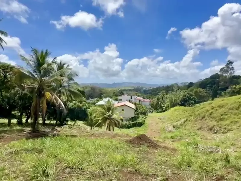 Terrain, 556 m²