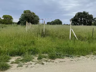 Terrain, 2 431 m²