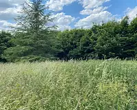 Terrain, 824 m²