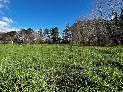 Terrain, 803 m²