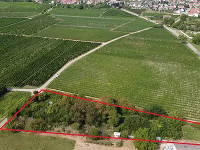 Terrain, 3 310 m²