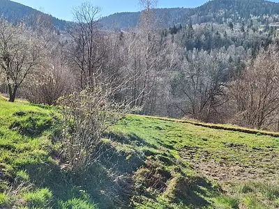 Terrain, 533 m²