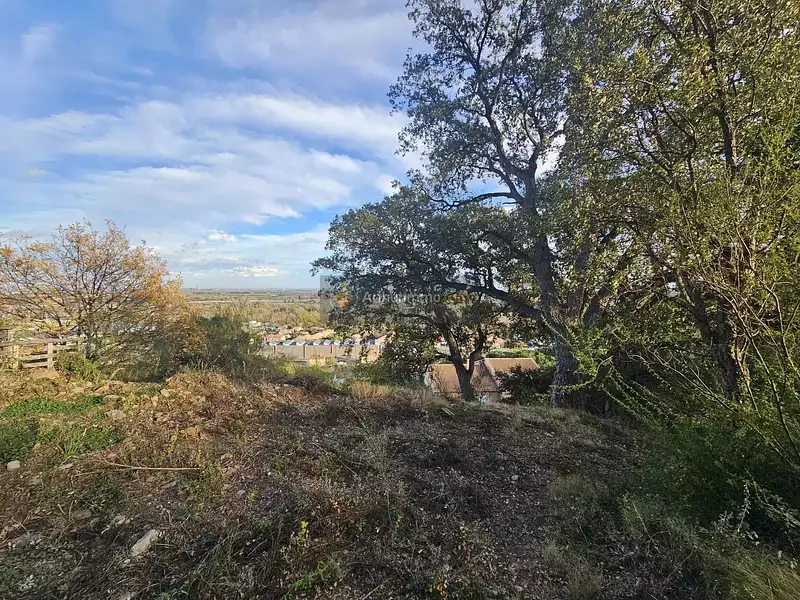 Terrain, 1 606 m²