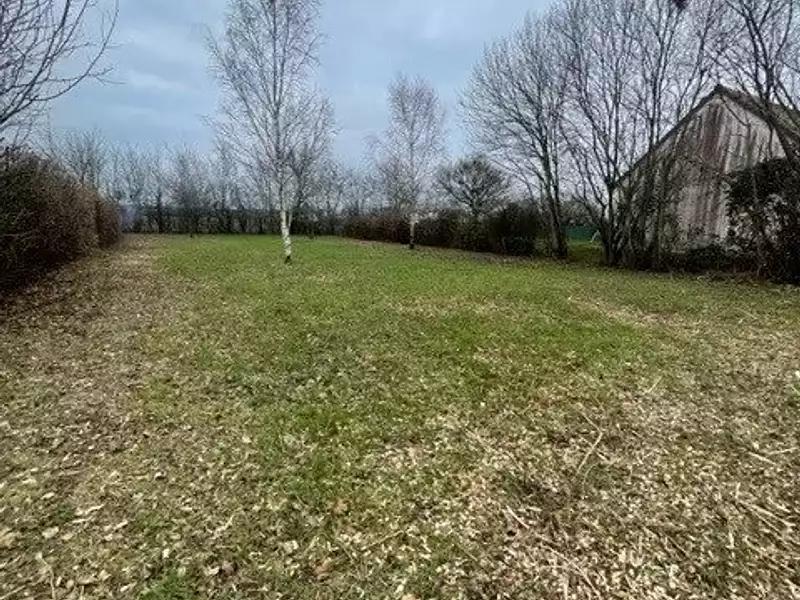 Terrain