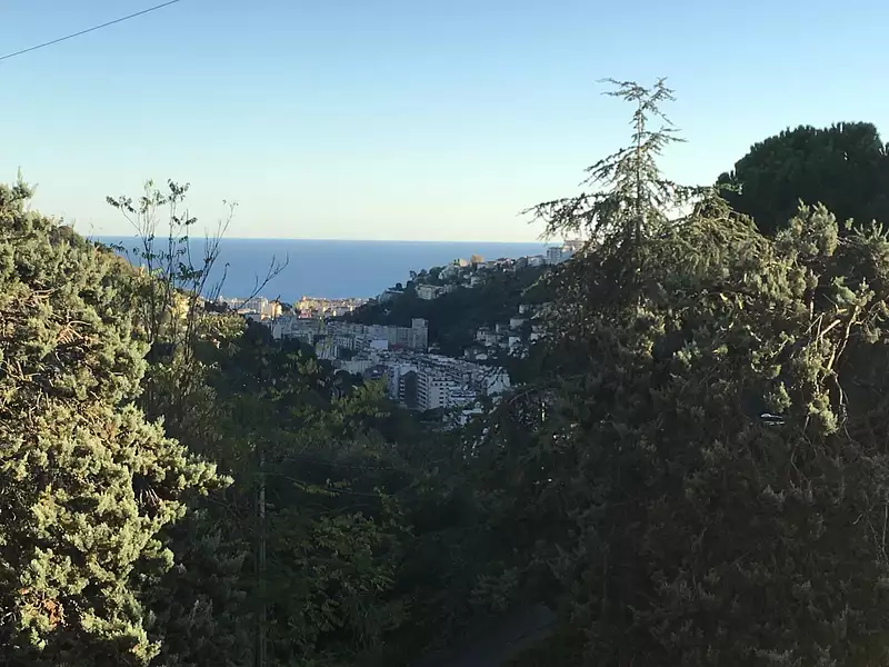 Appartement, 49,5 m²