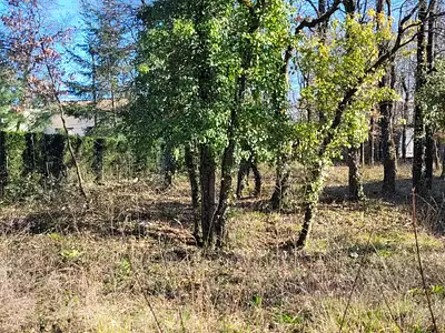 Terrain, 717 m²