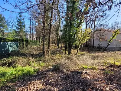 Terrain, 717 m²