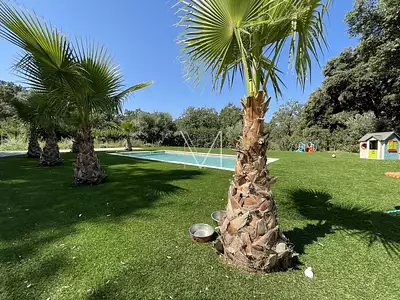 Maison, 160 m²