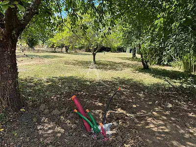Terrain, 1 239 m²