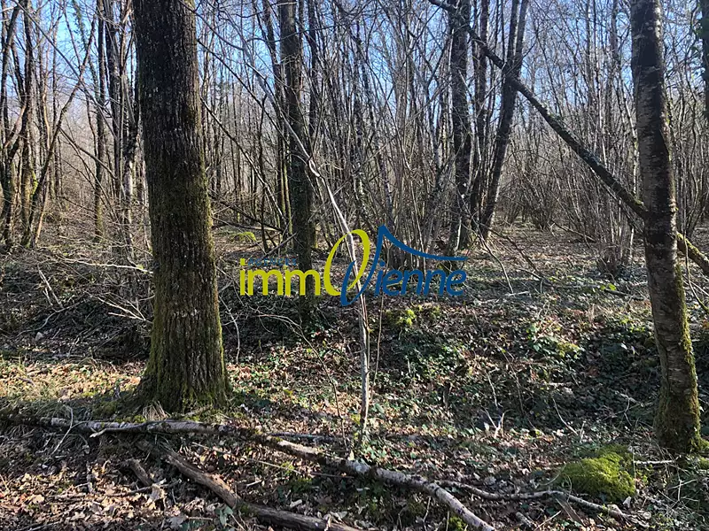 Terrain, 56 600 m²
