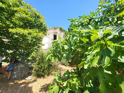 Maison, 60 m²