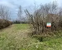 Terrain