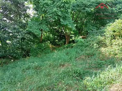Terrain, 2 600 m²