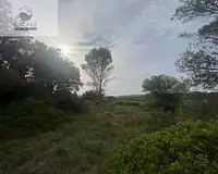 Terrain, 6 091 m²