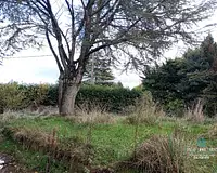 Maison, 77 m²