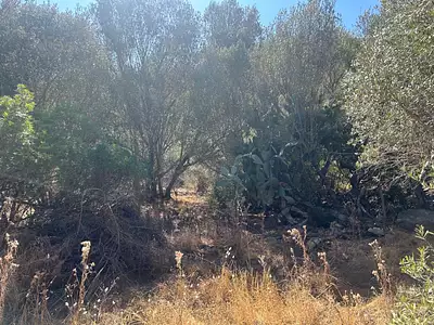 Terrain, 1 440 m²