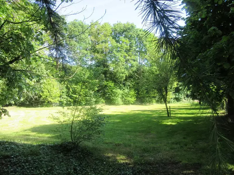 Terrain, 1 651 m²