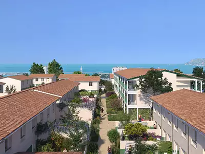 VISION D'AOU