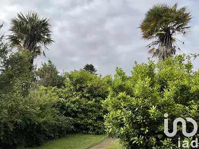 Terrain, 554 m²