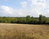 Terrain, 4 911 m²