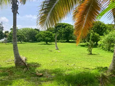 Terrain, 631 m²