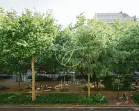 Appartement, 49,78 m²