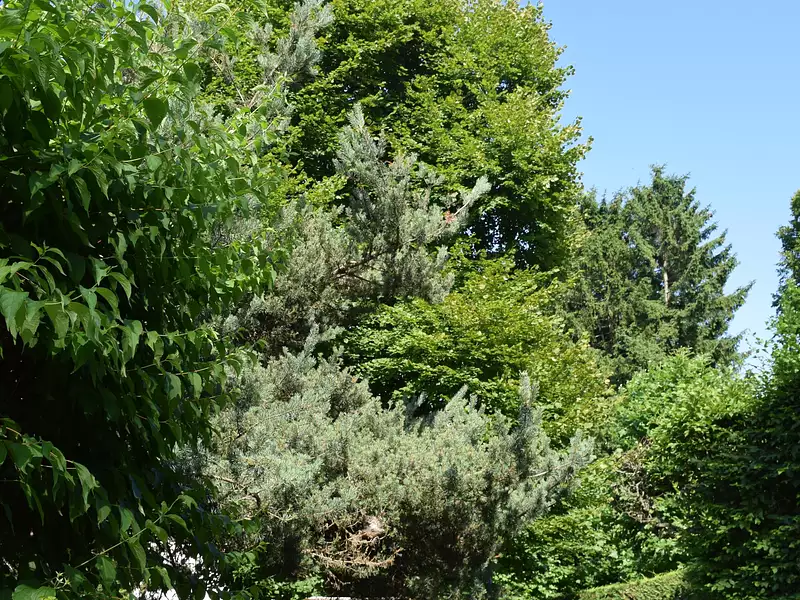 Maison, 308 m²