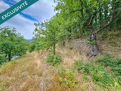 Terrain, 24 945 m²
