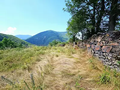 Terrain