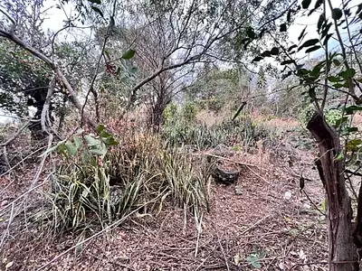 Terrain, 1 323 m²