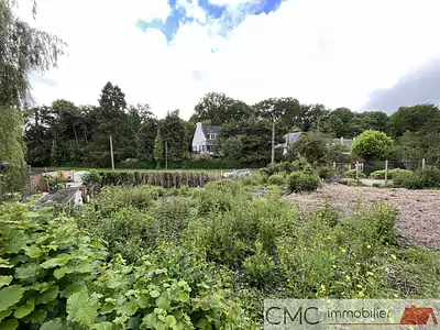 Terrain, 772 m²