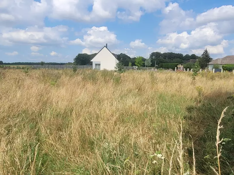 Terrain, 1 155 m²