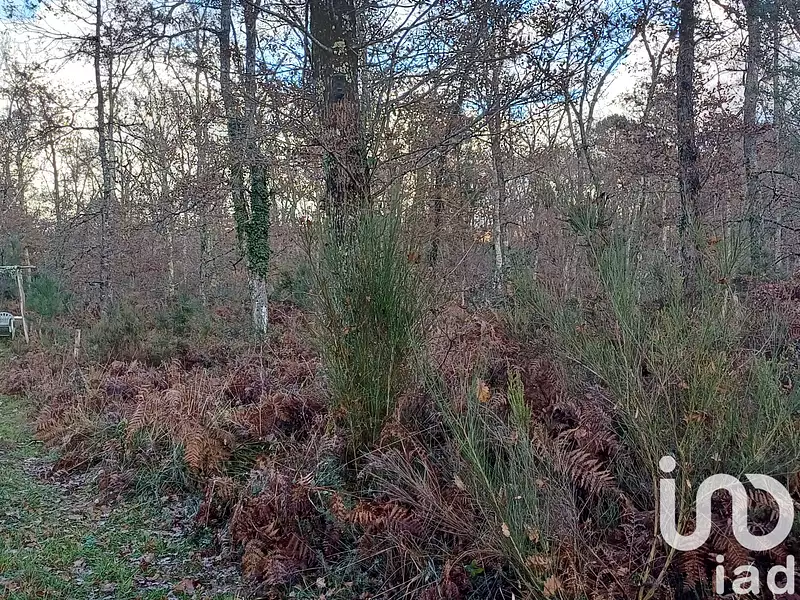 Terrain, 13 000 m²