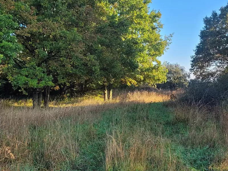 Terrain à bâtir, 300 m²