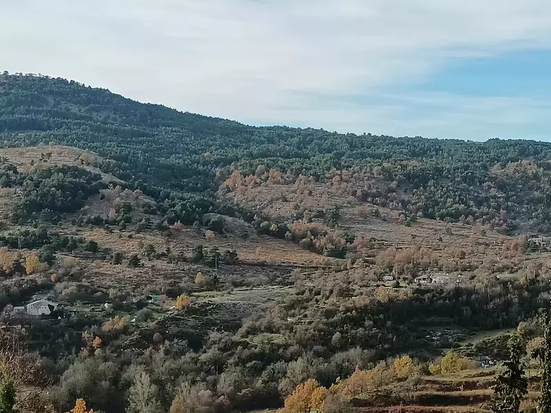 Terrain, 740 m²