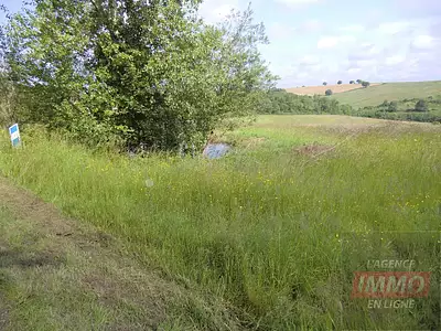 Terrain, 70 000 m²