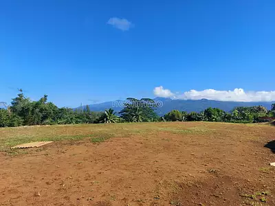 Terrain, 1 835 m²