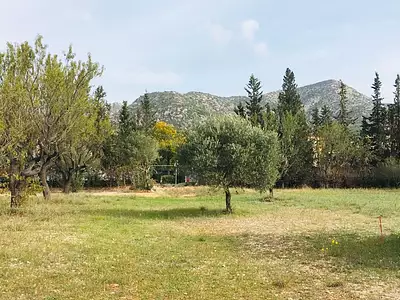 Terrain, 875 m²