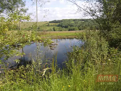 Terrain, 70 000 m²