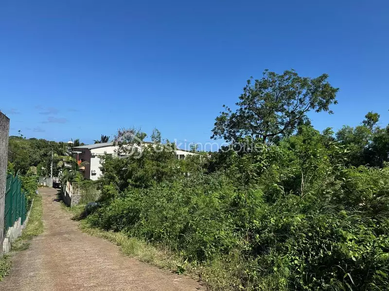 Terrain, 709 m²