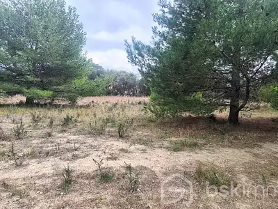Terrain, 1 350 m²