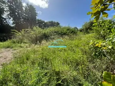 Terrain, 1 288 m²