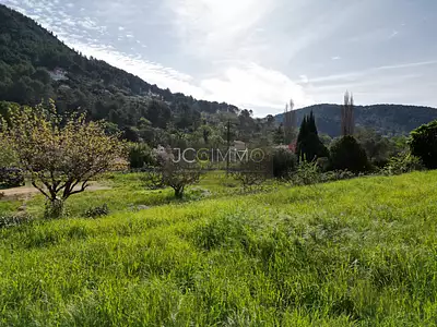 Terrain, 541 m²