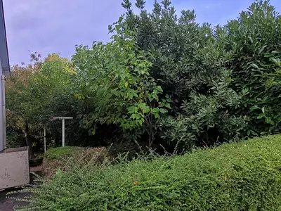 Maison, 75 m²
