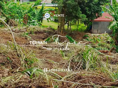 Terrain, 989 m²