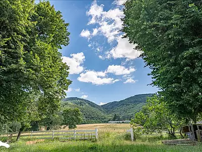 Maison, 253 m²