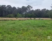 Terrain, 650 m²