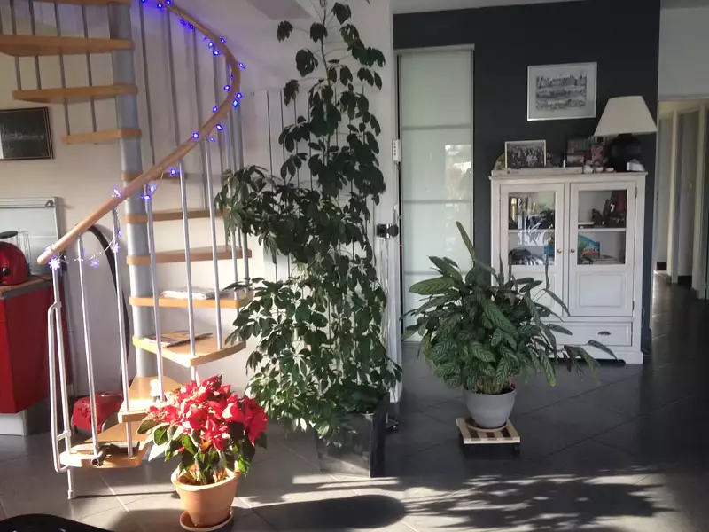 Maison, 200 m²