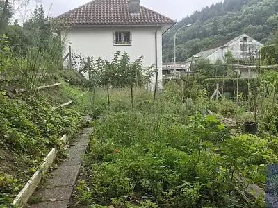 Terrain, 367 m²